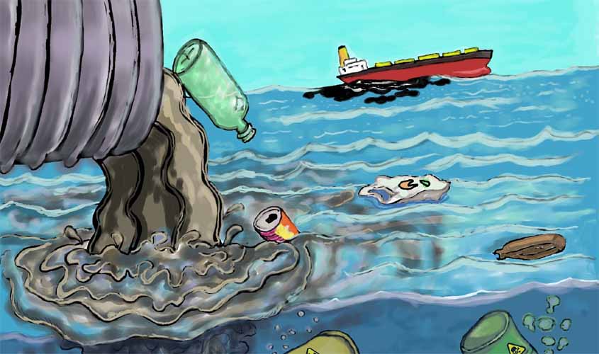 5 de junho: Dia Mundial do Meio Ambiente