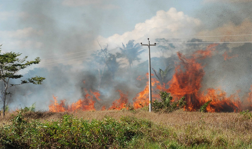TCE determina que Estado e municípios implementem medidas de prevenção e combate a queimadas em Rondônia