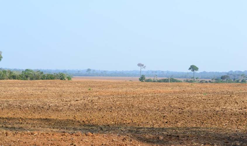 Idaron chama atenção para início do vazio sanitário da soja que começa neste mês