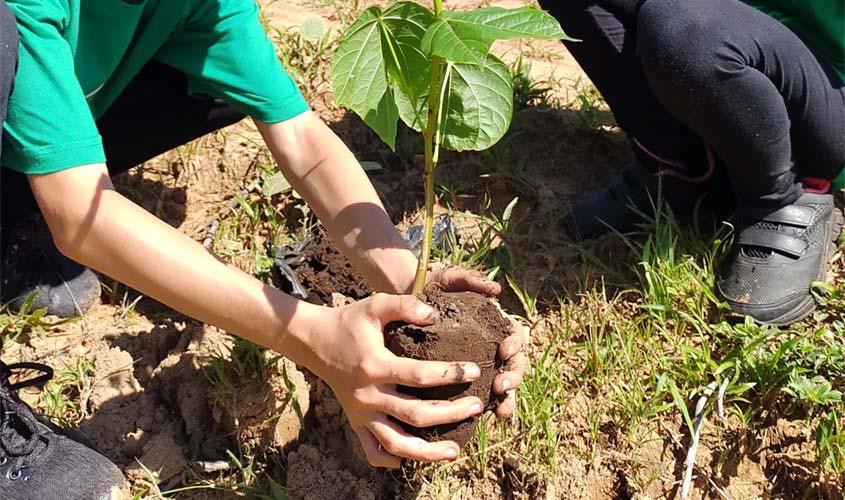 Sicredi inclui sustentabilidade na estratégia de gestão
