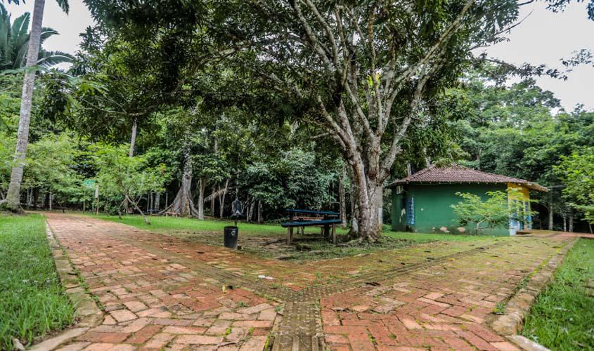 Ações da Semana do Meio Ambiente acontecem em diversos pontos da capital