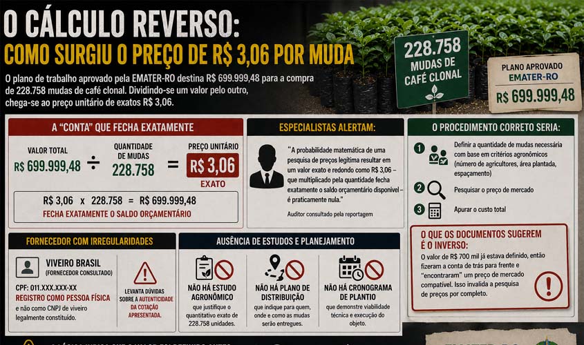 Como surgiu o preço de R$ 3,06 por muda