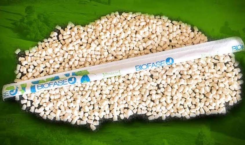 Semente de abacate substitui material plástico no México