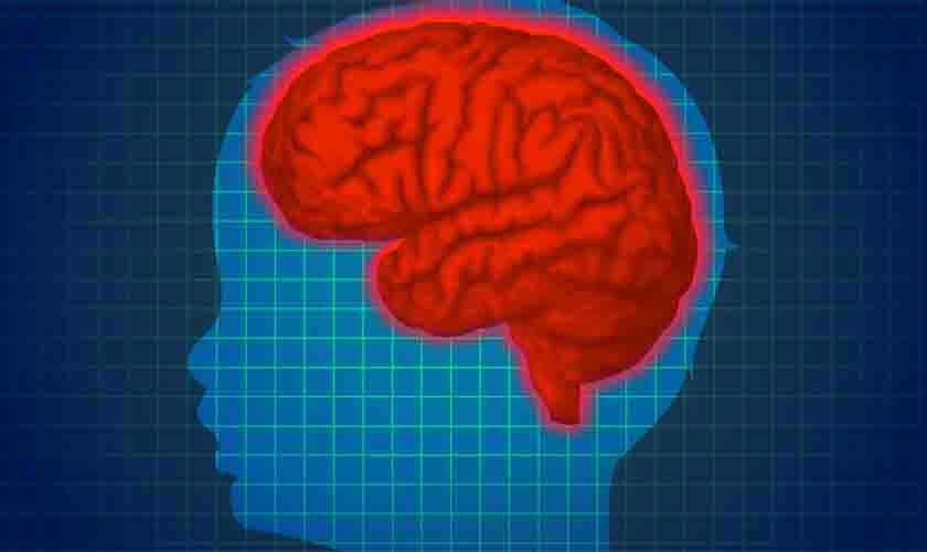 Principais doenças neurológicas em crianças