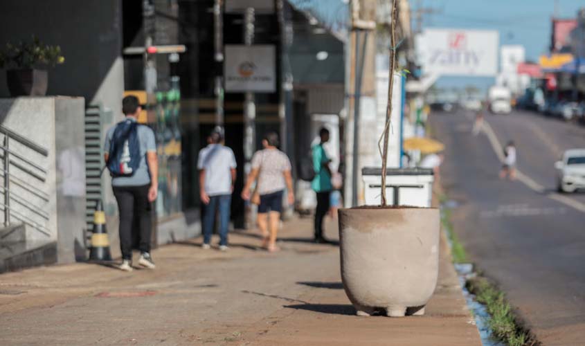 Novos vasos com plantas são instalados ao longo da avenida Sete de Setembro