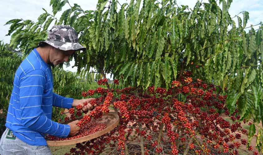 Café sofre alta no preço nesta segunda (5)