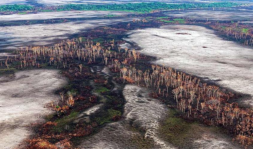 Política ambiental do governo prejudica o Brasil, avaliam senadores