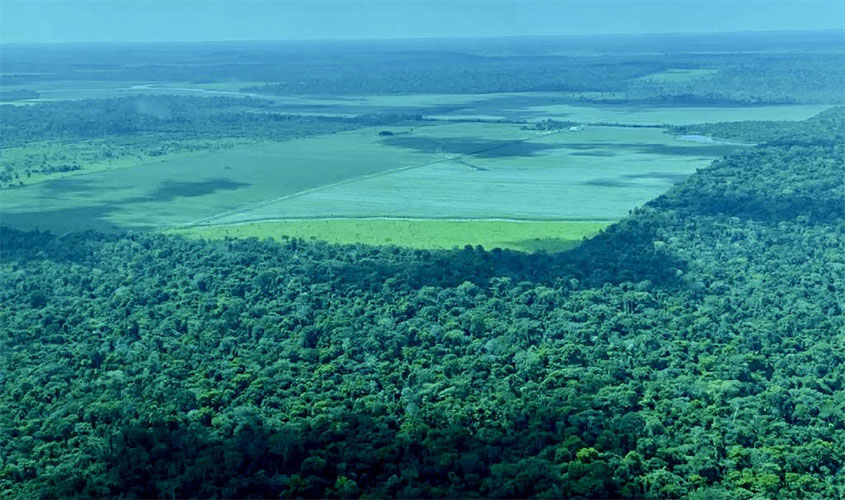 No Dia da Amazônia, Rondônia ressalta o esforço conjunto de órgãos no combate aos ilícitos ambientais