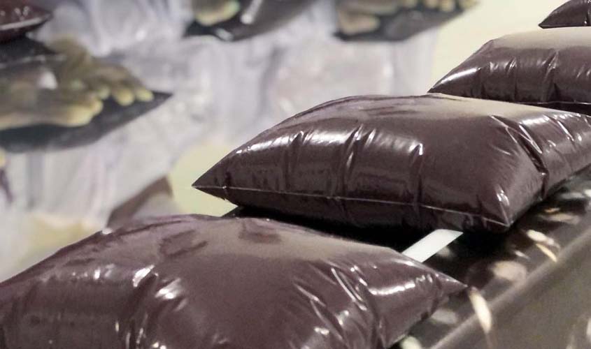 Indígenas recebem autorização do MAPA para comercializar açaí 100% natural