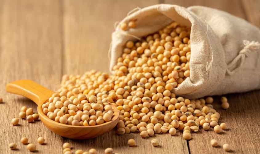 Soja e trigo: confira as projeções de preço para sexta-feira (5)