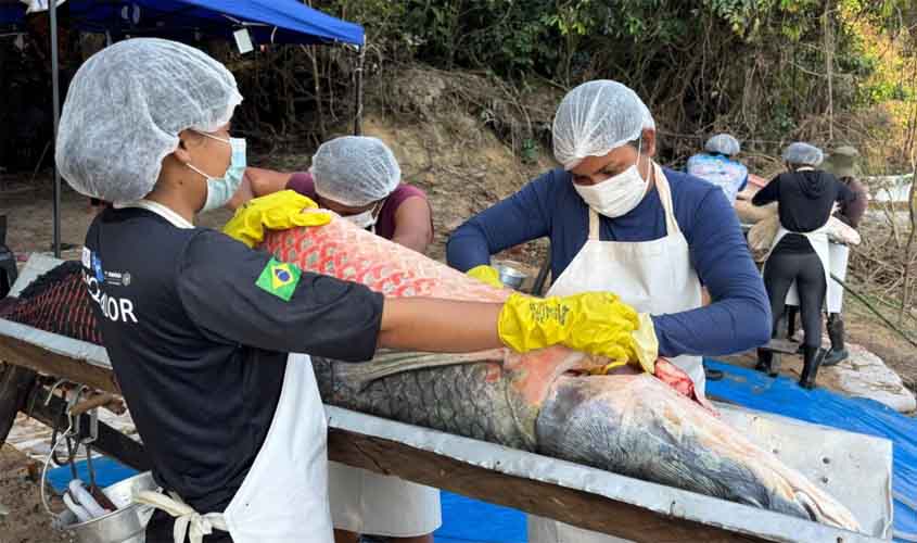 Primeira edição da pesca manejada em 2025 retira 160 pirarucus do Rio Cautário e gera mais de R$ 90 mil em renda comunitária