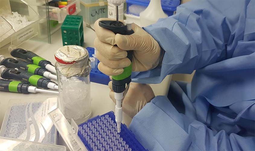 Mulheres e crianças infectadas por Zika desenvolvem imunidade ao vírus