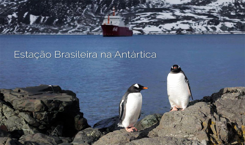 Brasil na Antártica: conheça as dificuldades da viagem