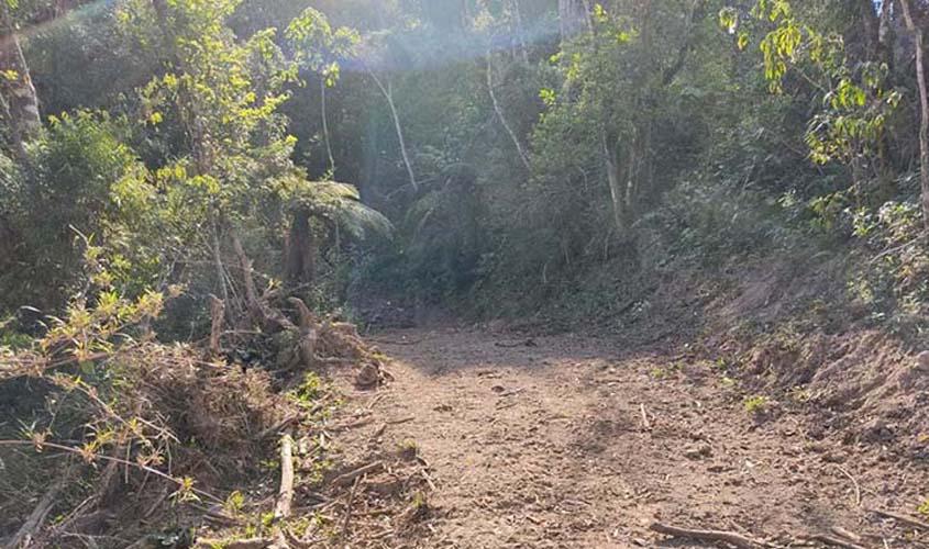 Conciliação pode ser tão eficaz quanto multas ambientais