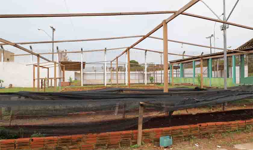 Projeto de Horticultura e Ressocialização é financiado com recursos de penas pecuniárias  