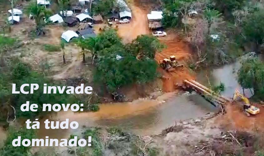 Produtores documentados têm destruição, LCP impune