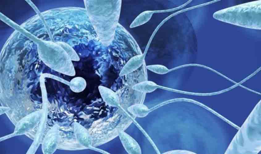 Entenda a reprodução assistida post mortem e conheça seus aspectos legais 