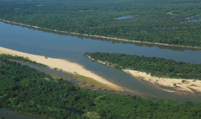 Programa que busca recuperar vegetação nativa e conservação dos ecossistemas é apresentado na Conferência