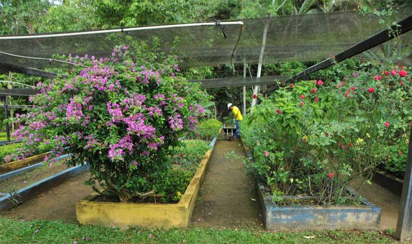 Prefeitura lança segunda etapa do programa que visa recuperar áreas degradadas