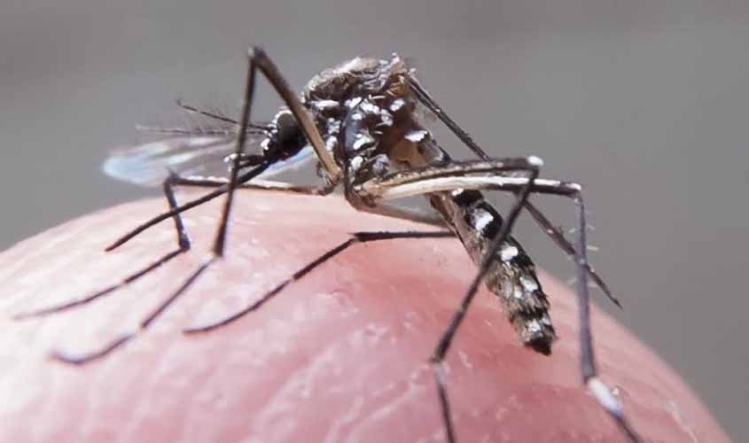 Encontro do Detran orienta sobre combate ao mosquito aedes aegypti