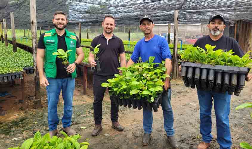 Prefeitura realiza o transporte de mudas de café clonal para produtores rurais da Linha Nova
