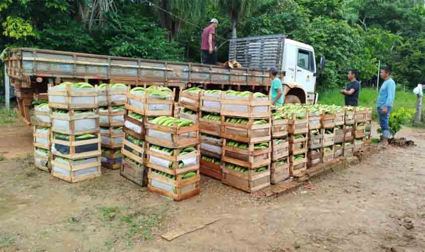 Agricultores podem solicitar transporte gratuito para escoamento da produção na feira livre de domingo