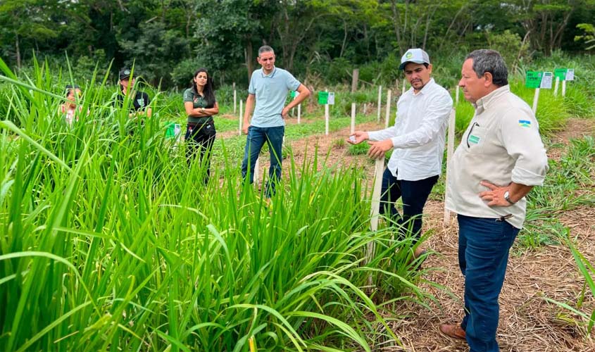 Programa fortalece pecuária leiteira em Rondônia