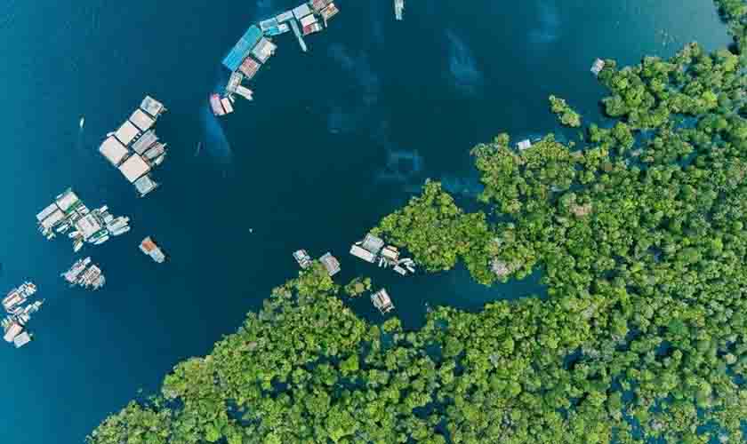 CHAMADA 2022 DA AMAZ SELECIONA NEGÓCIOS AMAZÔNICOS PARA ACELERAÇÃO E INVESTIMENTO DE ATÉ R＄ 600 MIL