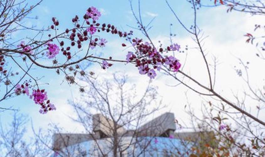 PGR pede ao Supremo prioridade no julgamento de caso que pode ampliar proteção de menores em casos de exploração sexual