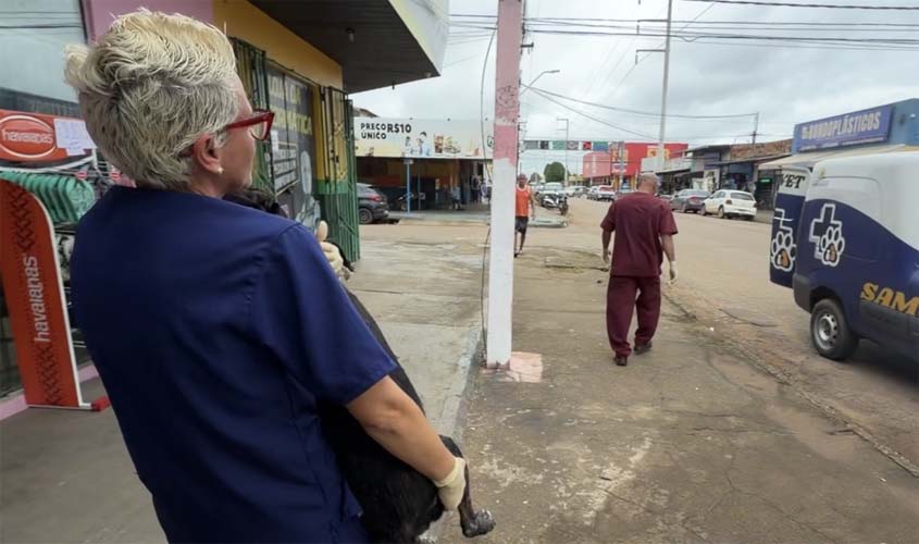 Prefeitura resgata cachorro abandonado e retoma tratamento