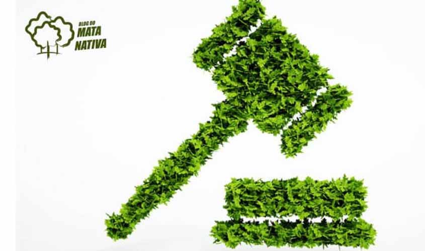 A ilegalidade da lei ambiental 