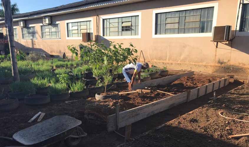 Escola Floriano Peixoto produz hortifrutigranjeiros orgânicos para merenda escolar
