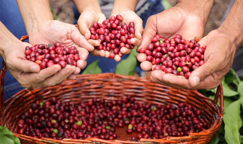 Programa Nacional de Crédito Fundiário investe quase R$ 100 milhões em Rondônia