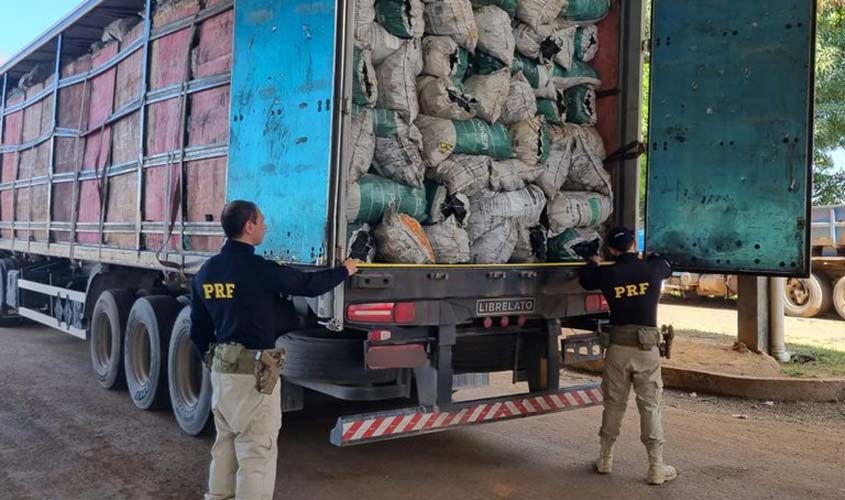 PRF apreende mais de 110m³ de produtos florestais em desacordo