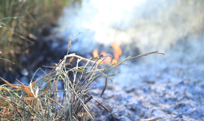 Porto Velho intensifica fiscalização contra queimadas