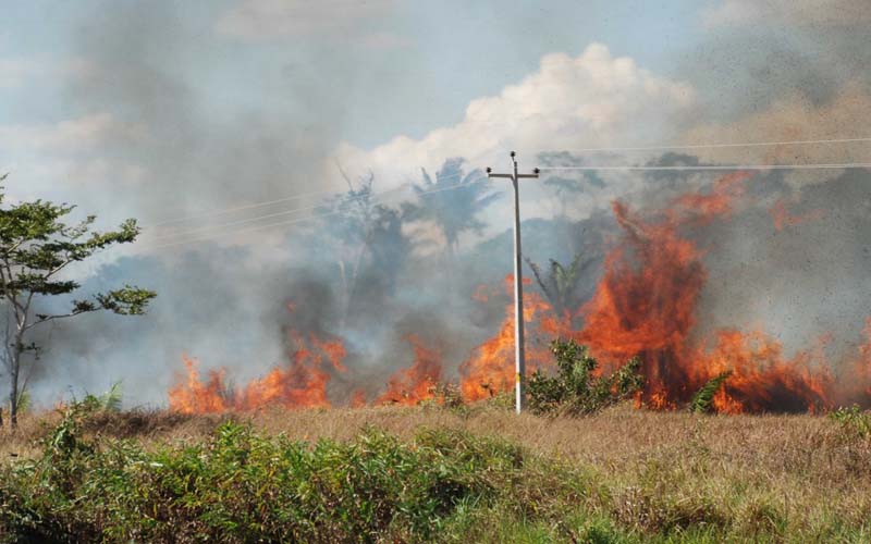 Focos de calor aumentam 8% em Rondônia em relação a julho de 2018