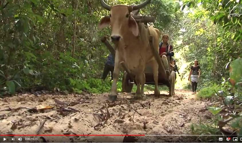 Vídeo: Família vai de carro de boi até o barco da Justiça Rápida para obter atendimento