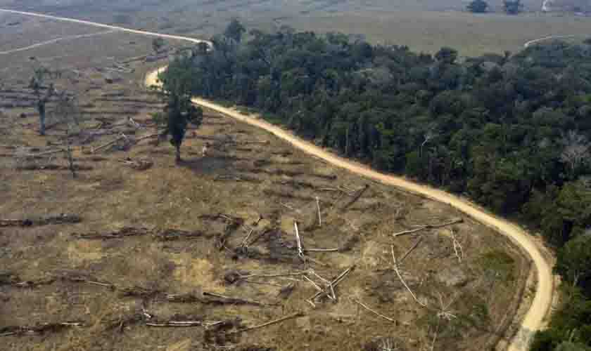 Desmatamento na Amazônia cai, mas patamar continua elevado
