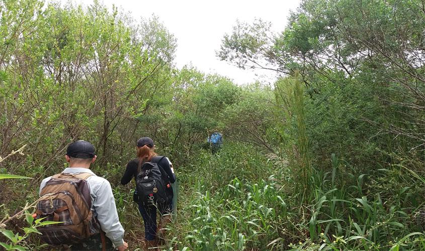 Pesquisa sobre câncer em plantas é realizada em UC