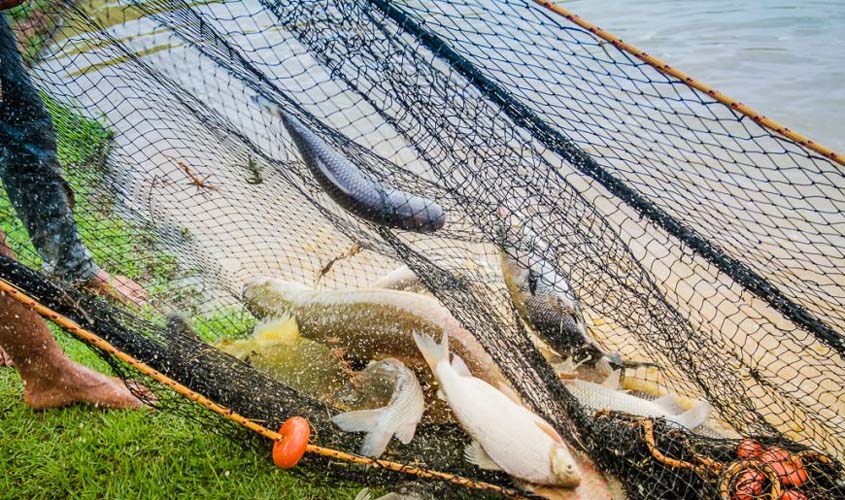 Período do defeso está em vigor em todo o Estado; pesca é proibida até março de 2021