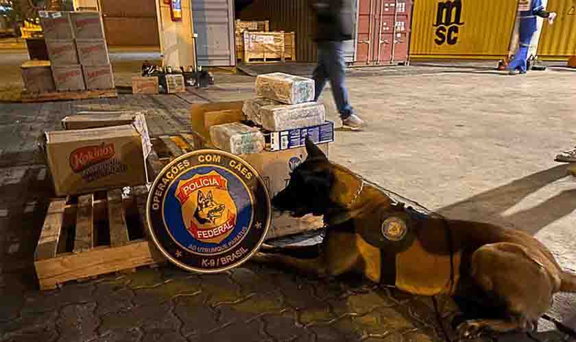 Polícia Federal apreende 5 toneladas de cocaína