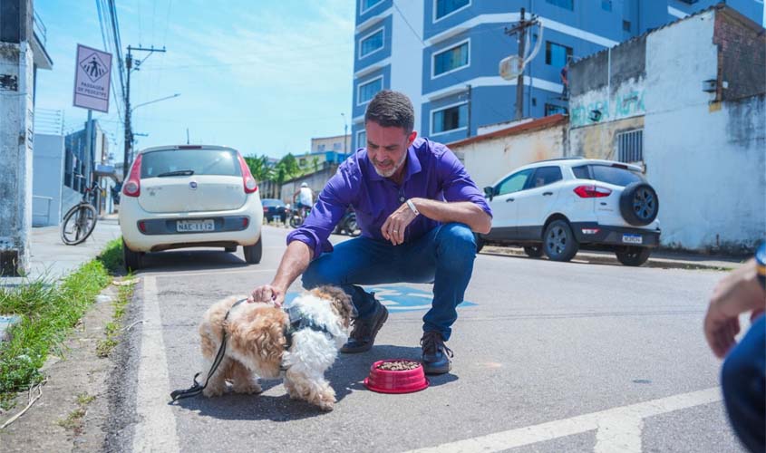 Prefeitura adquire 18t de ração para entidades protetoras