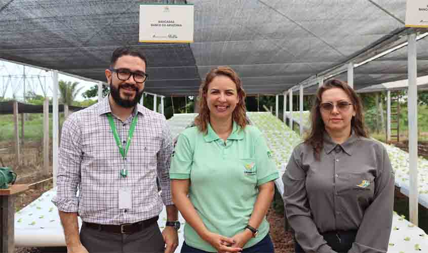 Associação do Observatório Socioambiental Inaugura Bancadas Hidropônicas em Projeto de Manejo Ambiental Sustentável