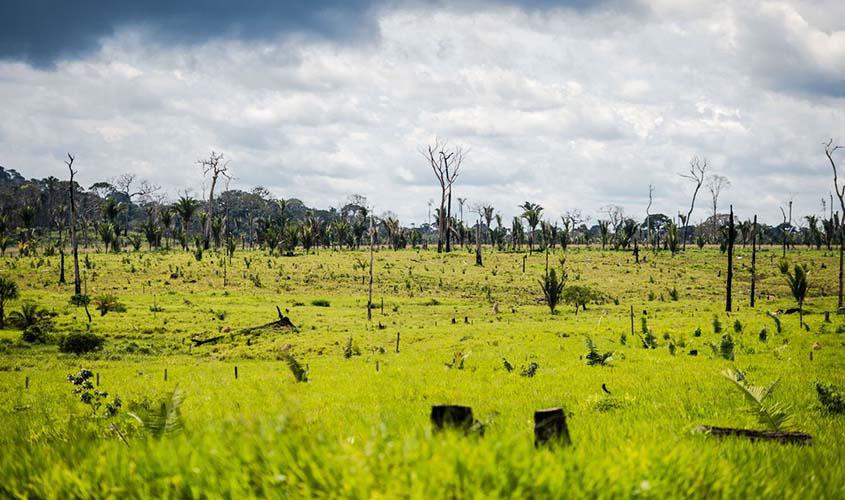 Ações da AGU cobram R$ 555,3 milhões de infratores ambientais