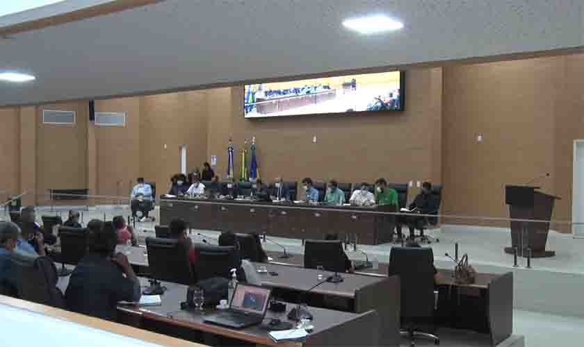 Sebrae e deputados de Rondônia discutem em audiência pública a cadeia produtiva da castanha do Brasil 