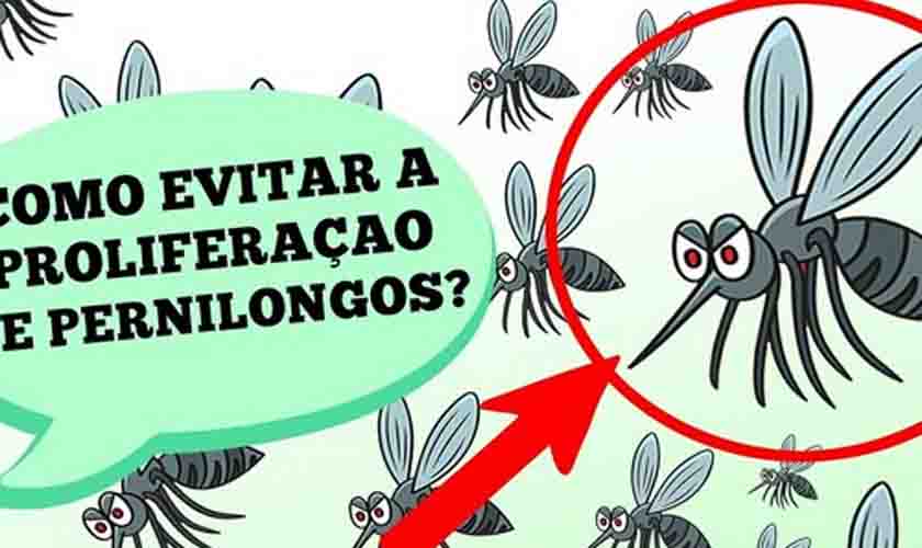 Como evitar a proliferação de pernilongos