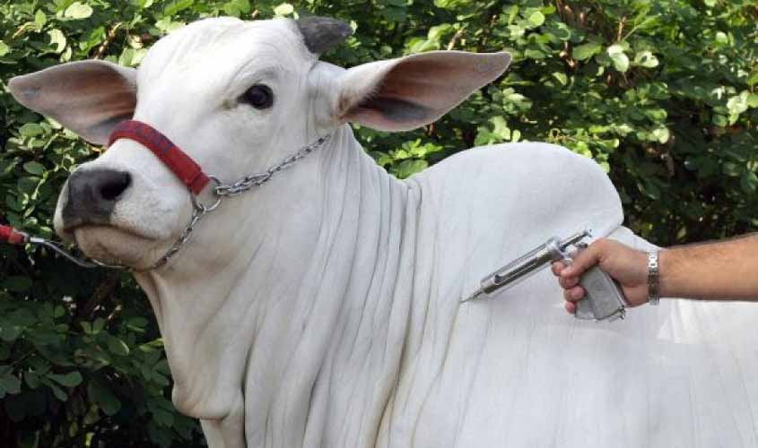 Presidente destaca valorização da defesa sanitária para o crescimento econômico no setor produtor de Rondônia