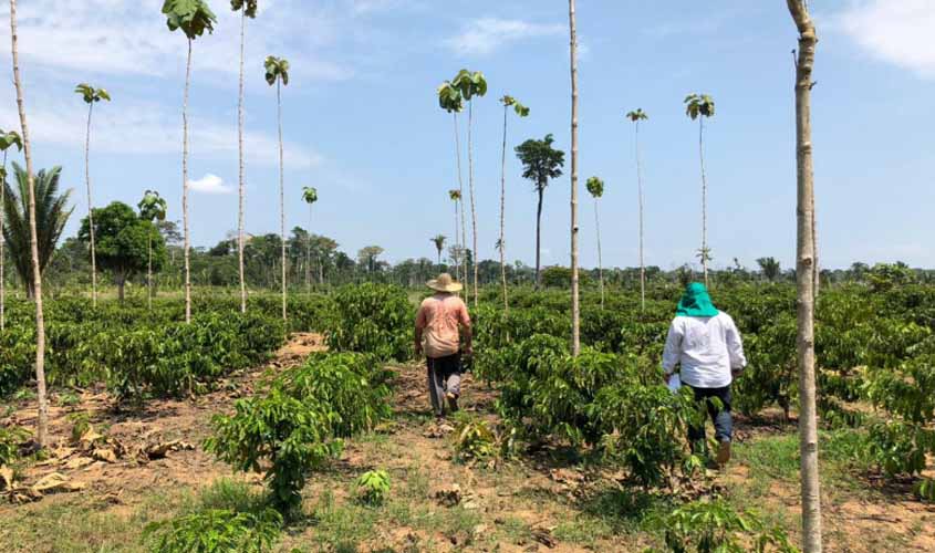 Prefeitura de Porto Velho lança o Programa Pró-café 2018/2019