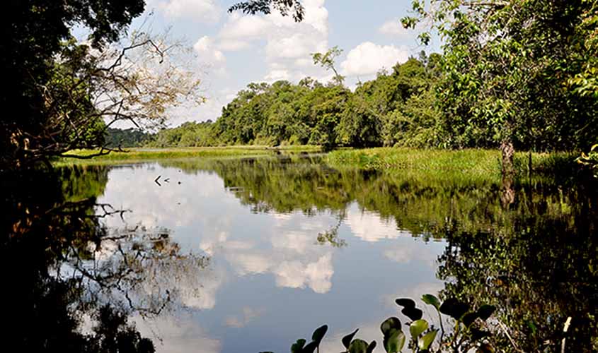 Ministério do Meio Ambiente sinaliza acordo de cooperação com o estado de Rondônia