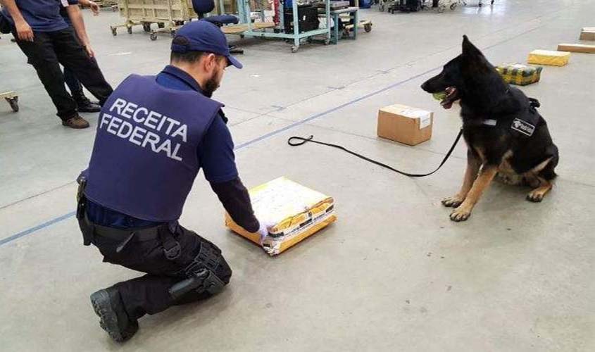 Receita Federal apreende 327 kg de cocaína em contêiner no Porto do Rio